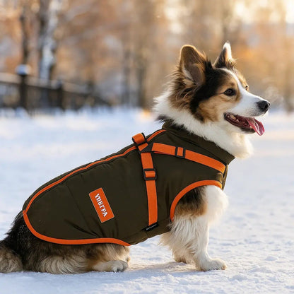 Waterproof Winter Jacket for Dogs – Soft and Comfortable