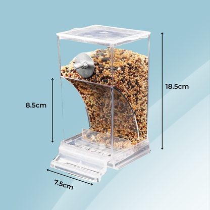 Bird Feeder – Clean Feeding, Happy Birds, Reduced Effort