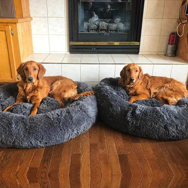 Dog Bed for Relaxation and Comfort