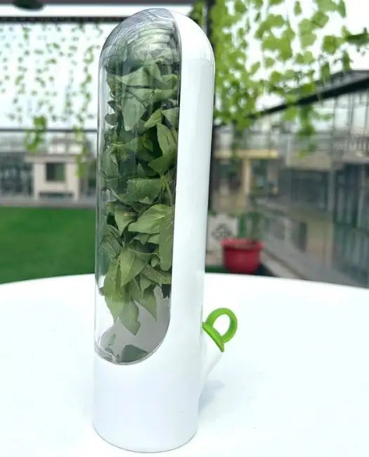 Buy One Get One Free | Fresh Storage Container for Vegetables and Herbs