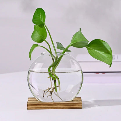 2-Piece Glass Terrarium Set with Wooden Stand | Hydroponic & Cutting Test Tube Vases | Contemporary Home & Office Decor