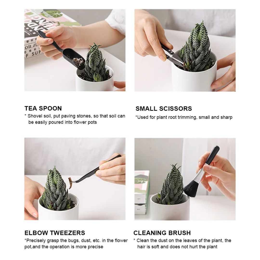 Indoor Gardening Kit – Grow Fresh Greens in Small Spaces