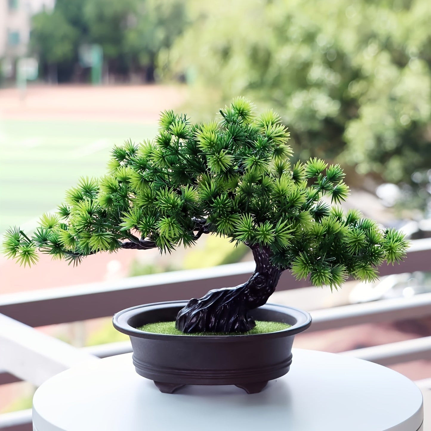 Bonsai Tree 24 cm | Evergreen and Low-Maintenance | Includes Black Pot