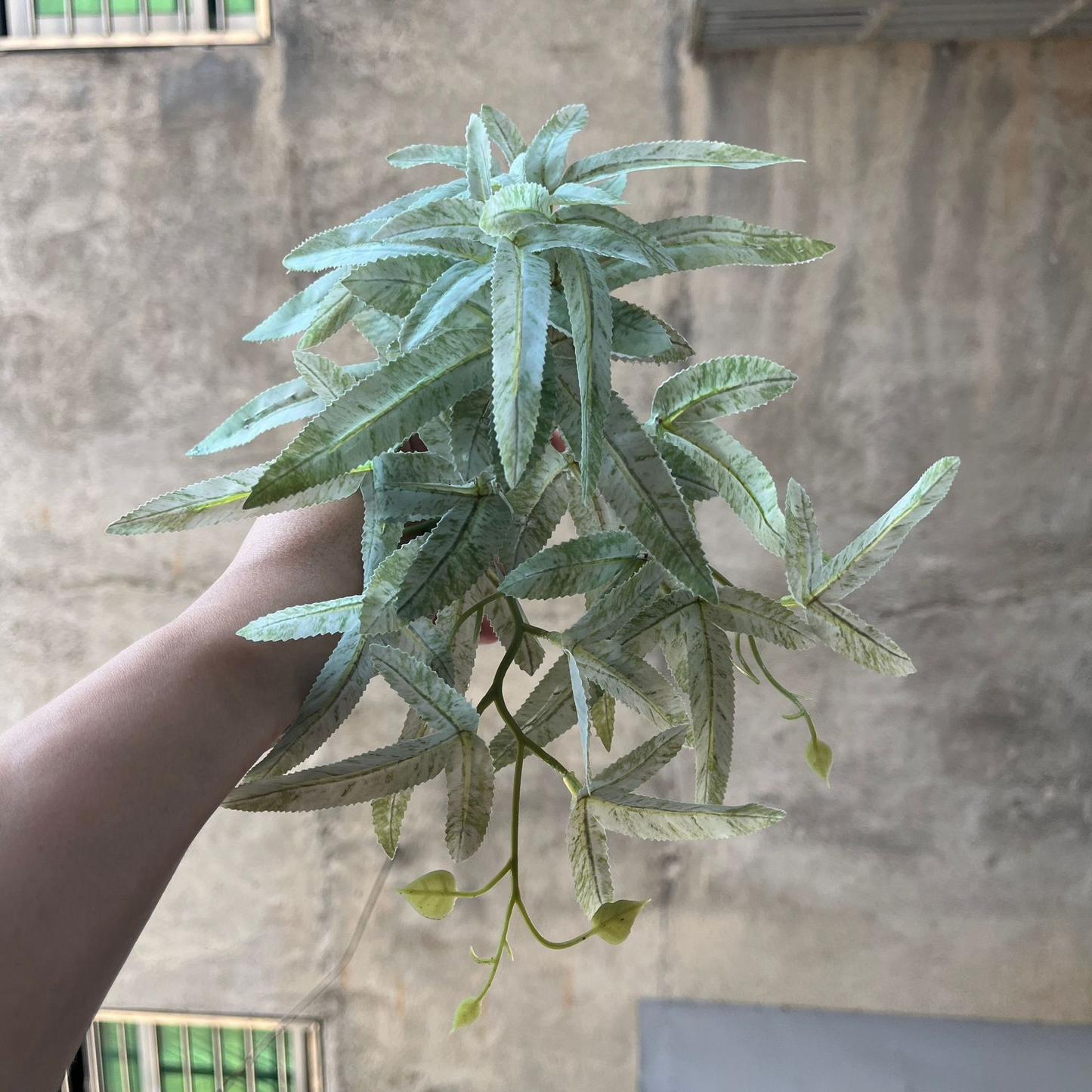 Instant Realistic Greenery with No Maintenance Required