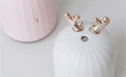 Essential Oil Diffuser for Aromatherapy