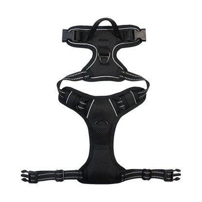 Ultimate 3-in-1 Dog Walking Solution | PupEase
