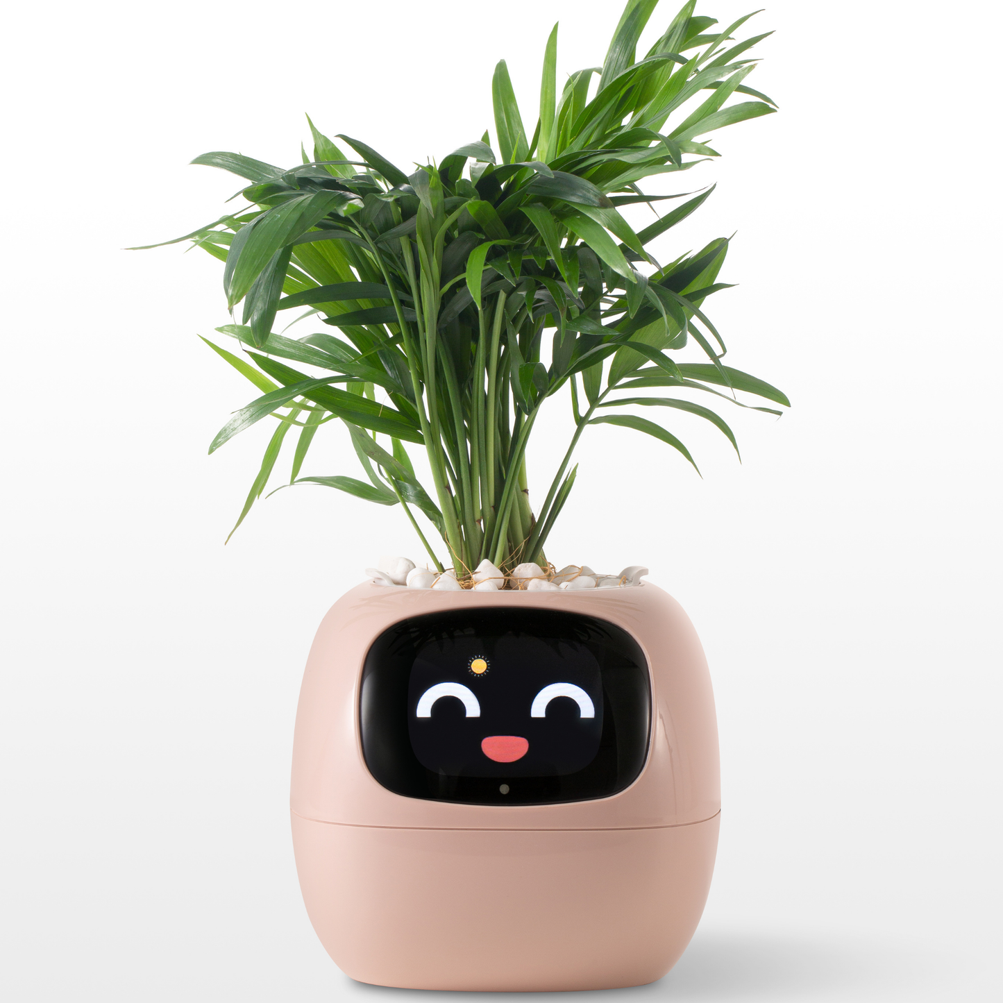 Creative Emoji Flower Pot