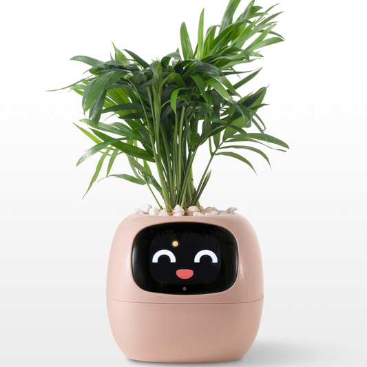 Creative Emoji Flower Pot