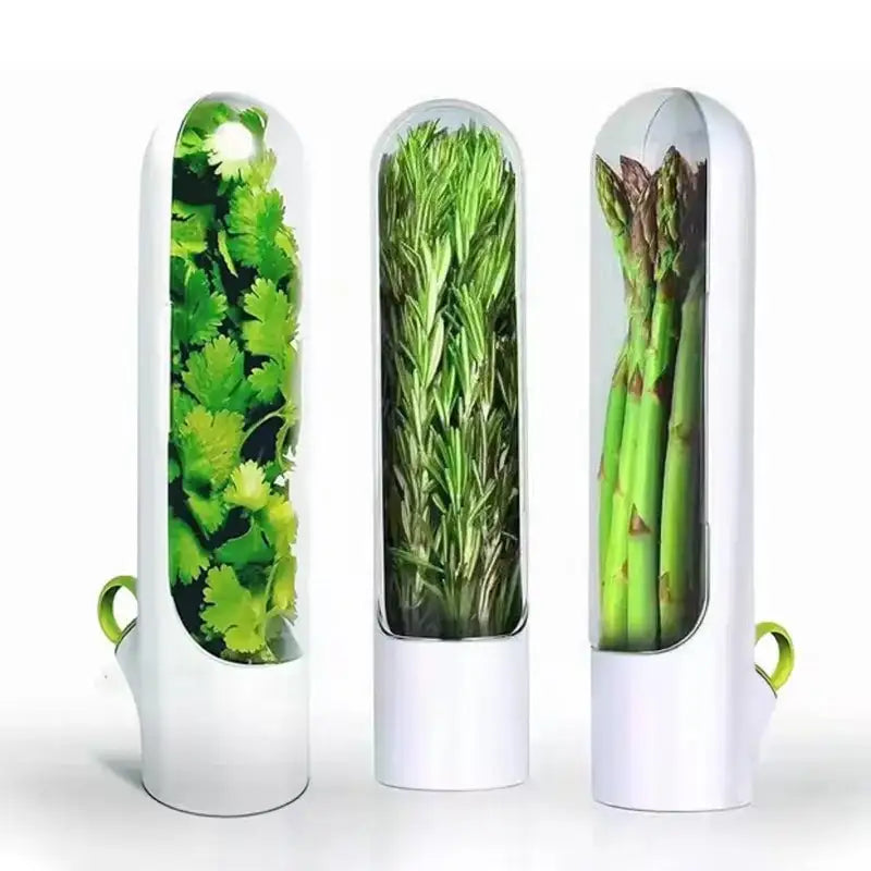 Buy One Get One Free | Fresh Storage Container for Vegetables and Herbs