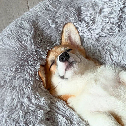 Dog Bed for Relaxation and Comfort