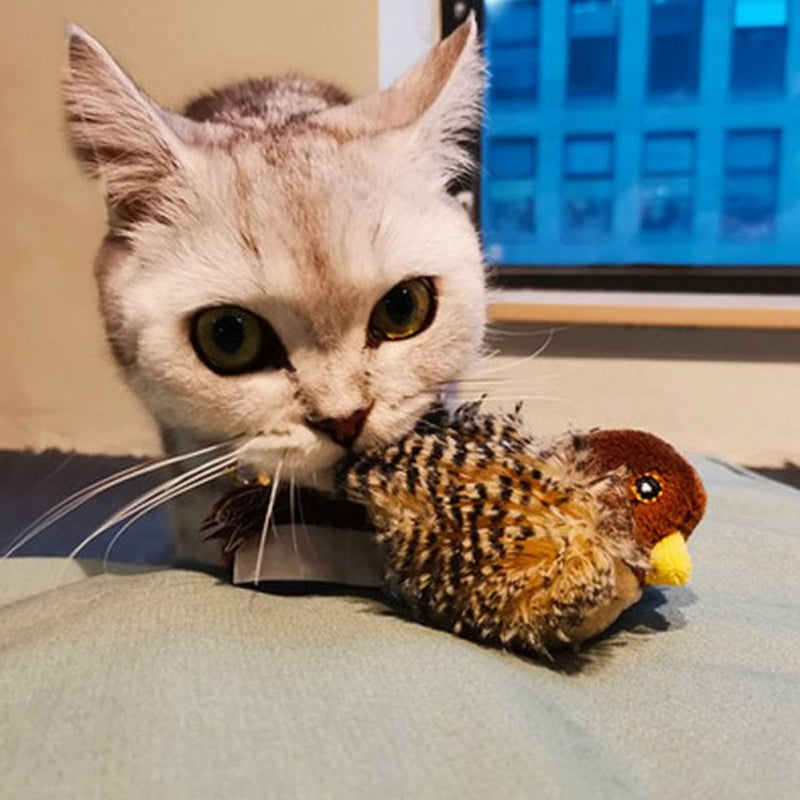 Interactive Chirping Bird Toy for Cats