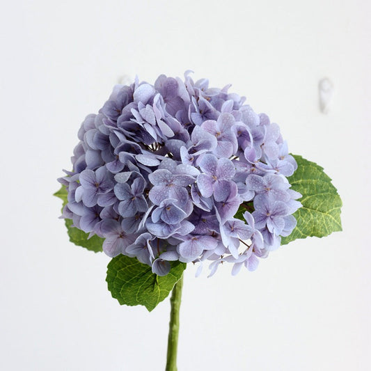 Forever Lively Flowers Without Maintenance - Hydrangea Decoration