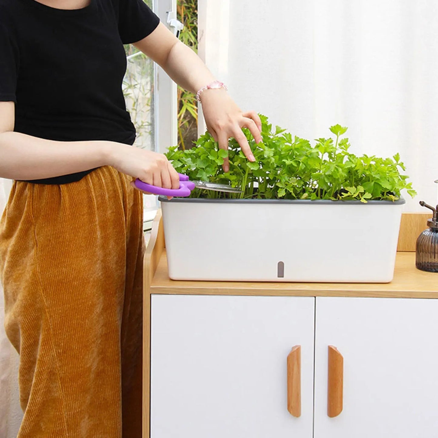 Self-Watering Plant Pot with Water Level Indicator | 43.5 cm | Dual Chamber Design