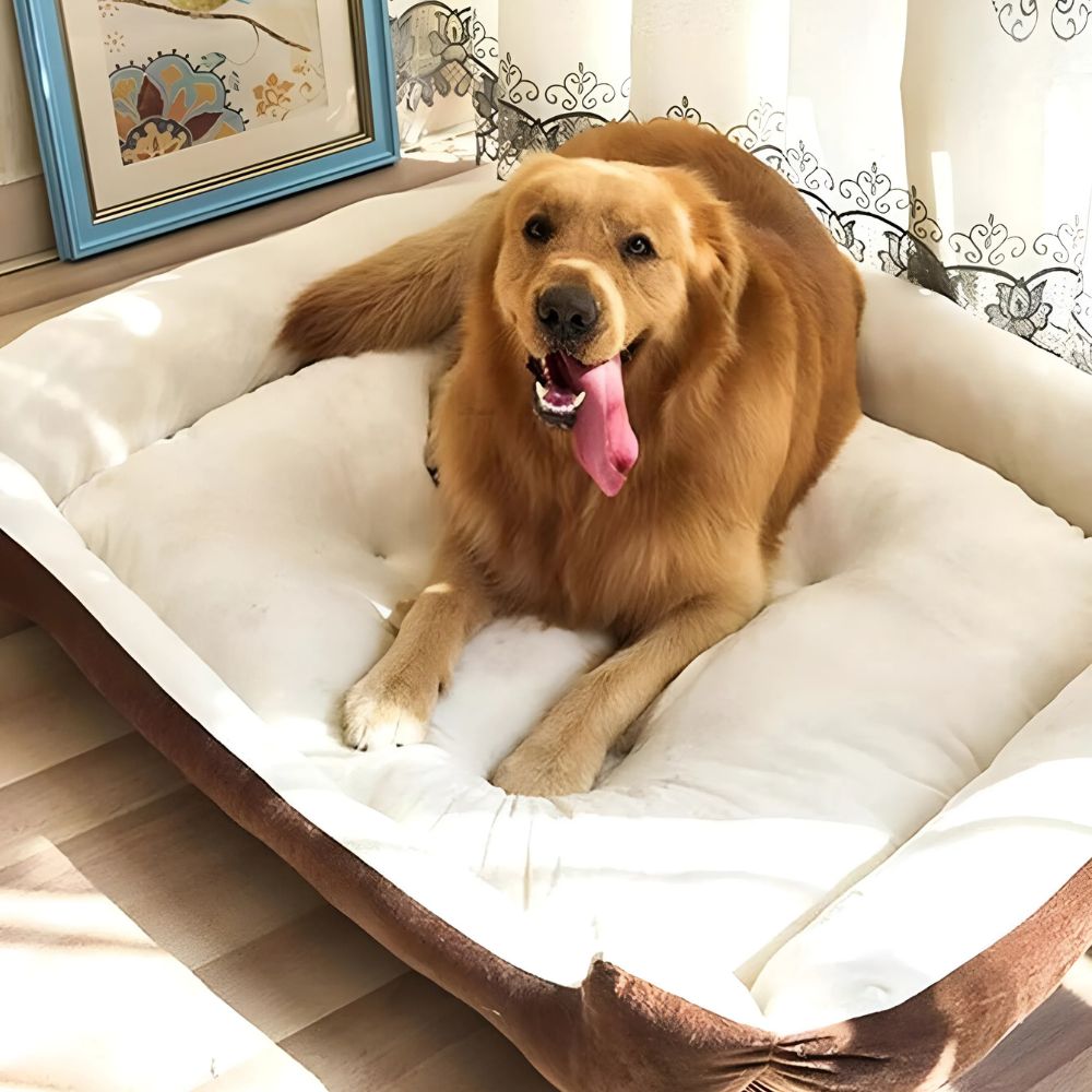 CozyNest Pet Cushion for Ultimate Comfort