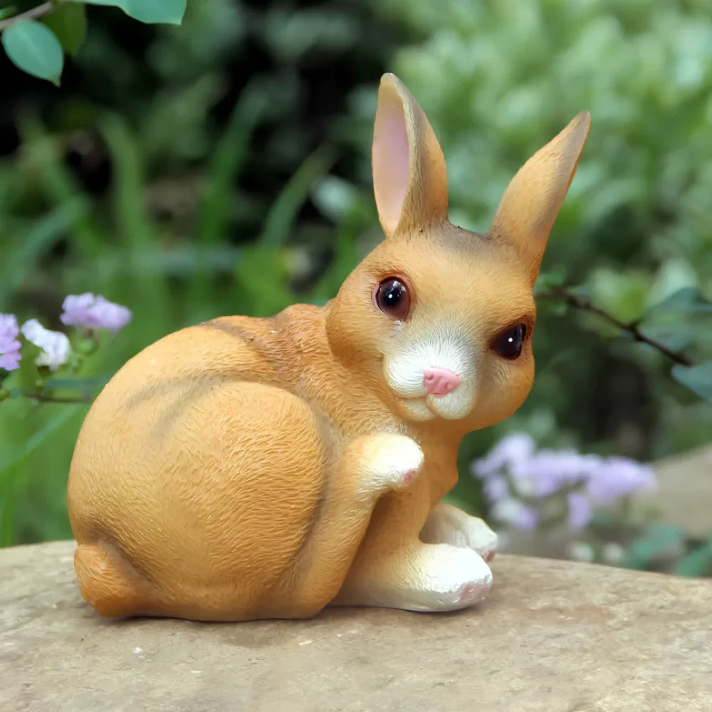 Solar-Powered Outdoor Lights for Animals