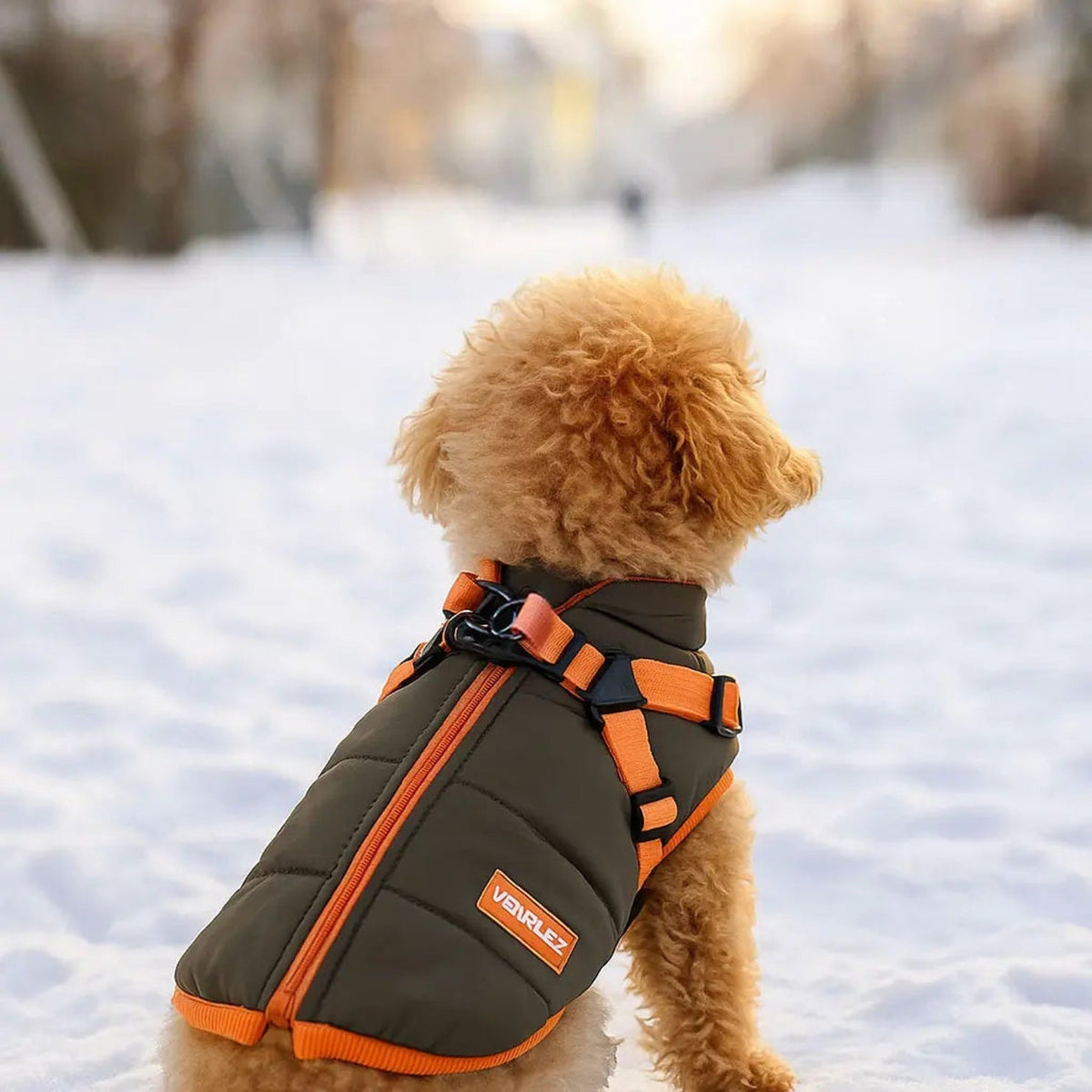 Waterproof Winter Jacket for Dogs – Soft and Comfortable