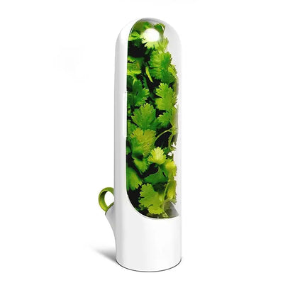 Buy One Get One Free | Fresh Storage Container for Vegetables and Herbs