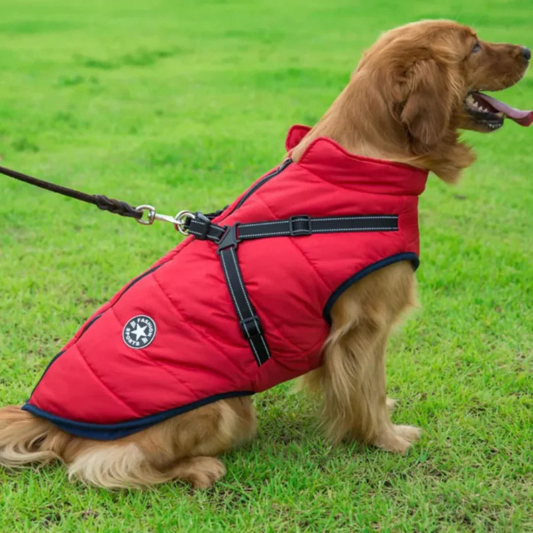 Water-Resistant Dog Jacket for Comfort and Protection