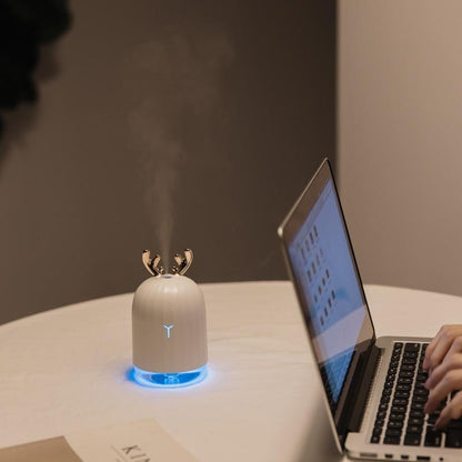 Essential Oil Diffuser for Aromatherapy