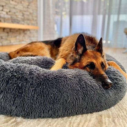 Dog Bed for Relaxation and Comfort