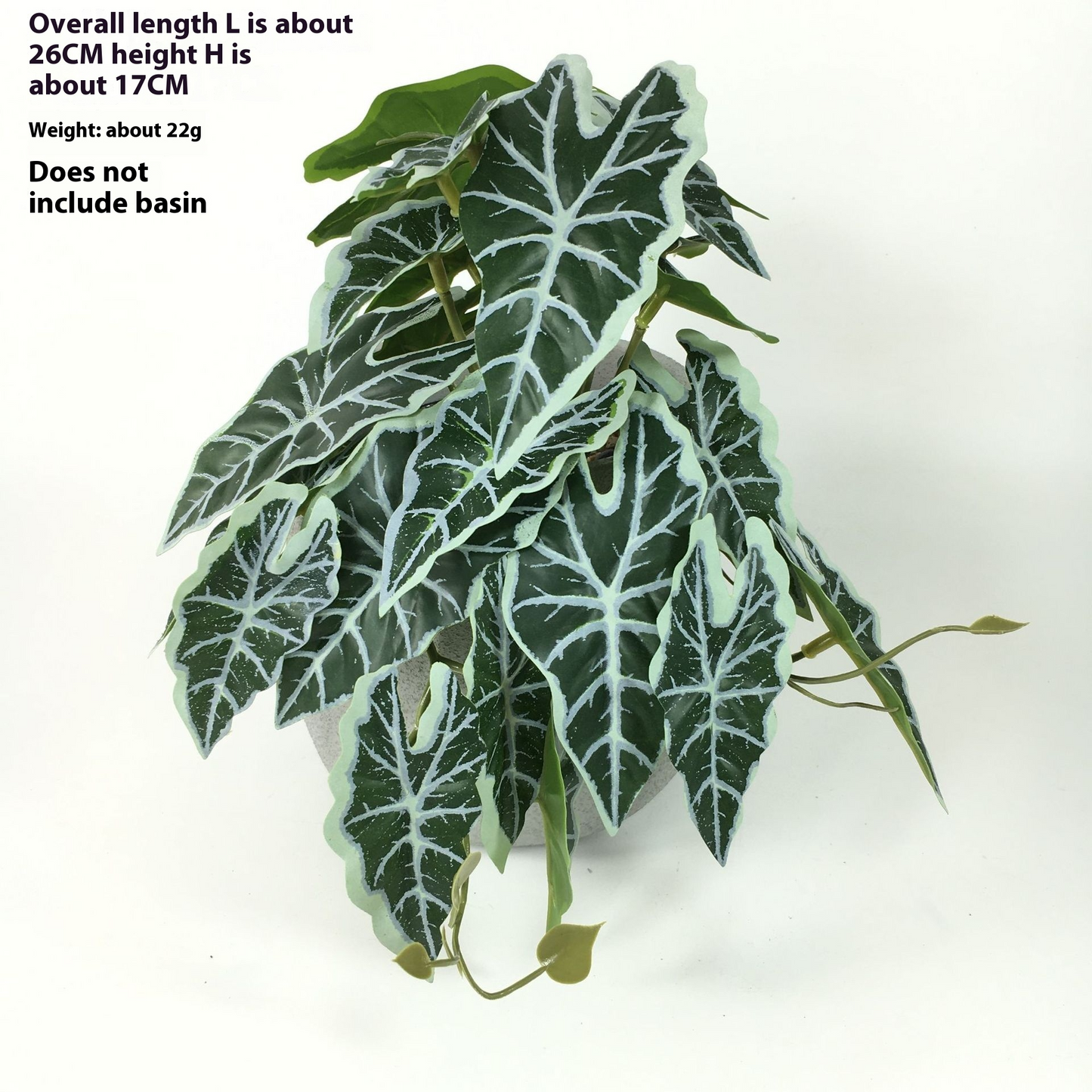 Instant Realistic Greenery with No Maintenance Required