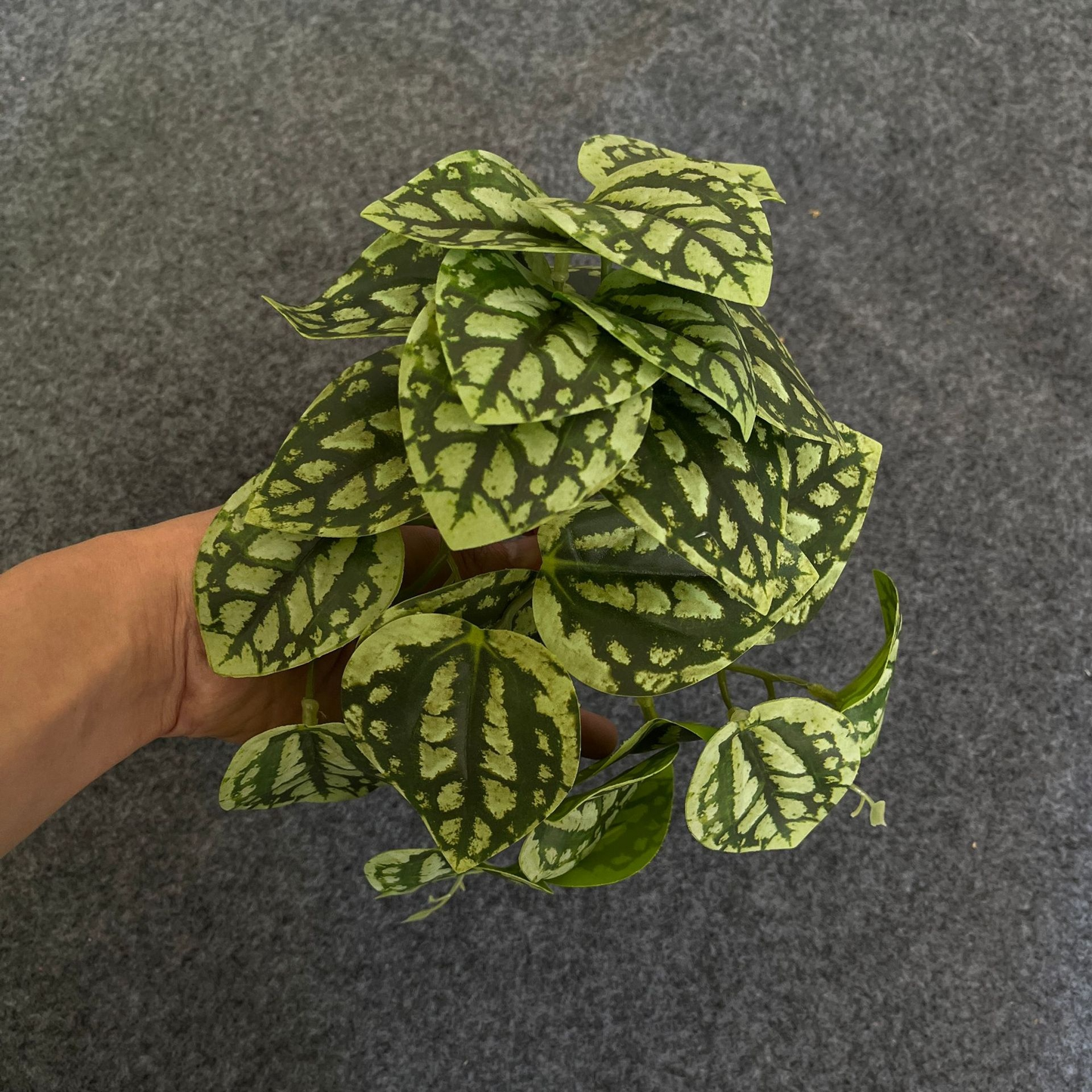 Instant Realistic Greenery with No Maintenance Required