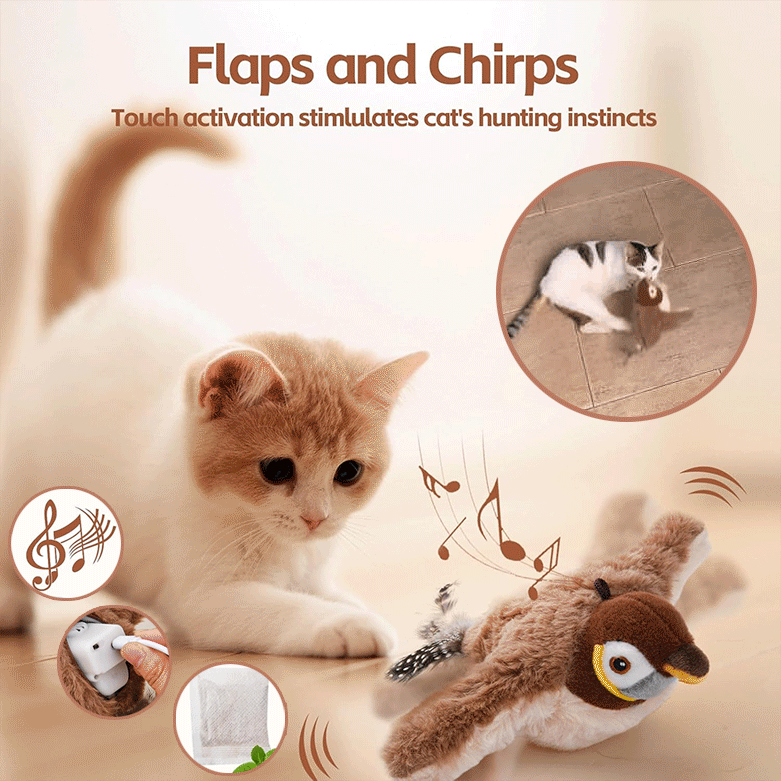Engaging Cat Toy with Fluttering Wings | Motion Sensor & Bird Sounds | Rechargeable