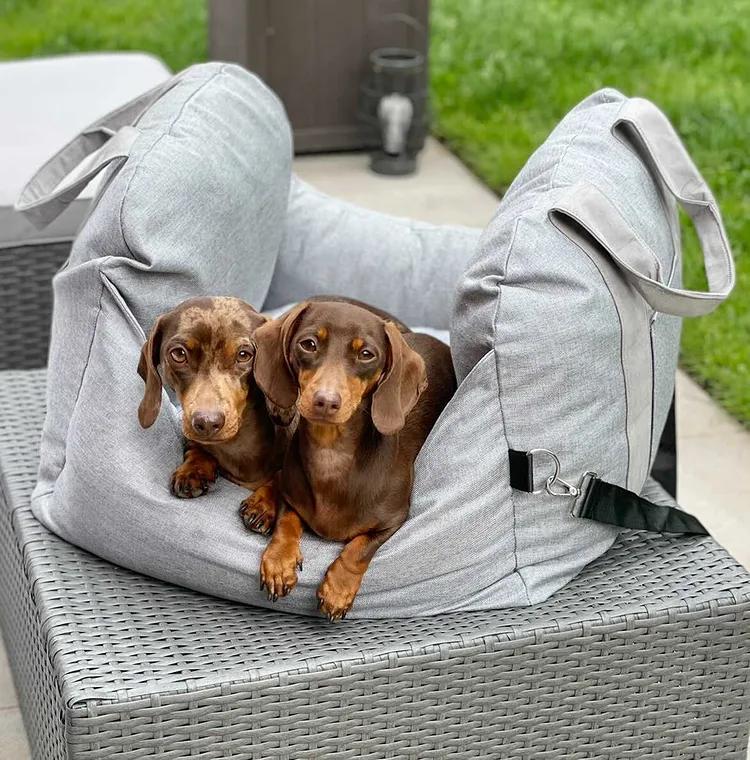 Dog Car Seat – Enhanced Safety – Optimal Comfort – Stylish Design