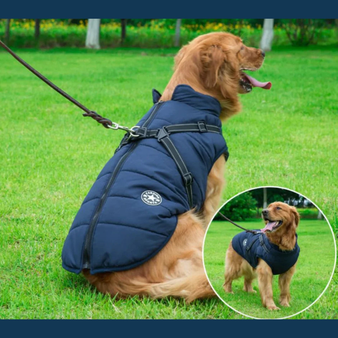 Water-Resistant Dog Jacket for Comfort and Protection