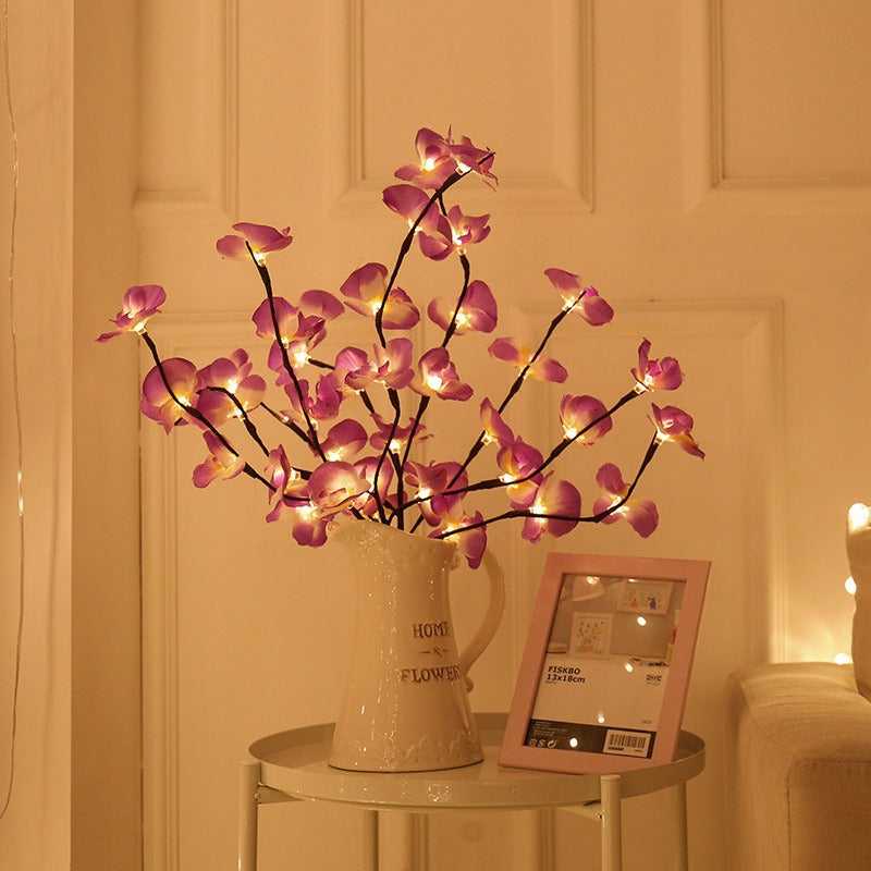 Transform Any Room with Warm, Enchanting Natural Light