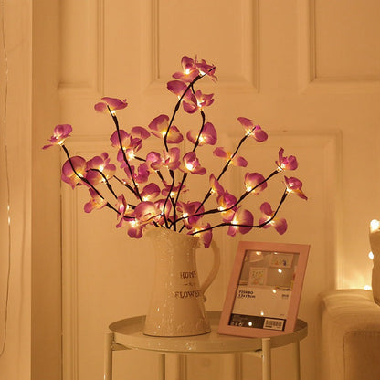 Transform Any Room with Warm, Enchanting Natural Light