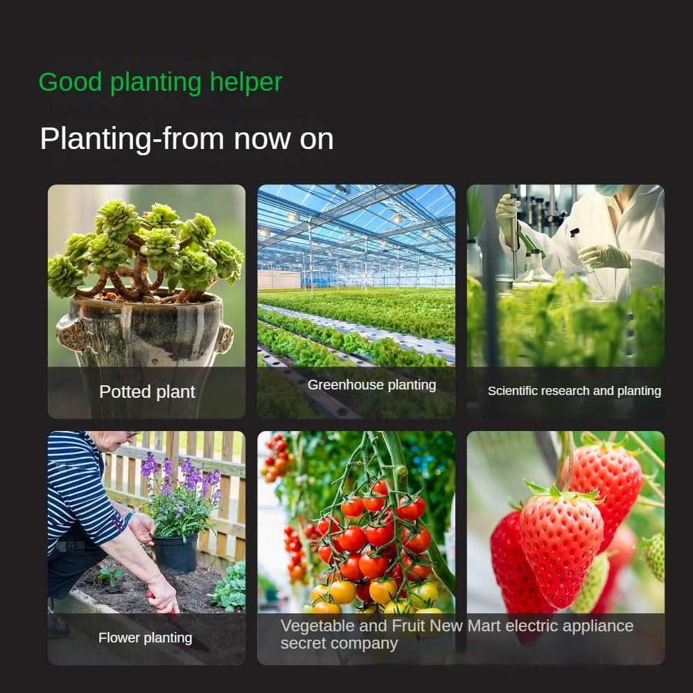 4-in-1 Soil Meter for Precise Monitoring of Plants and Soil
