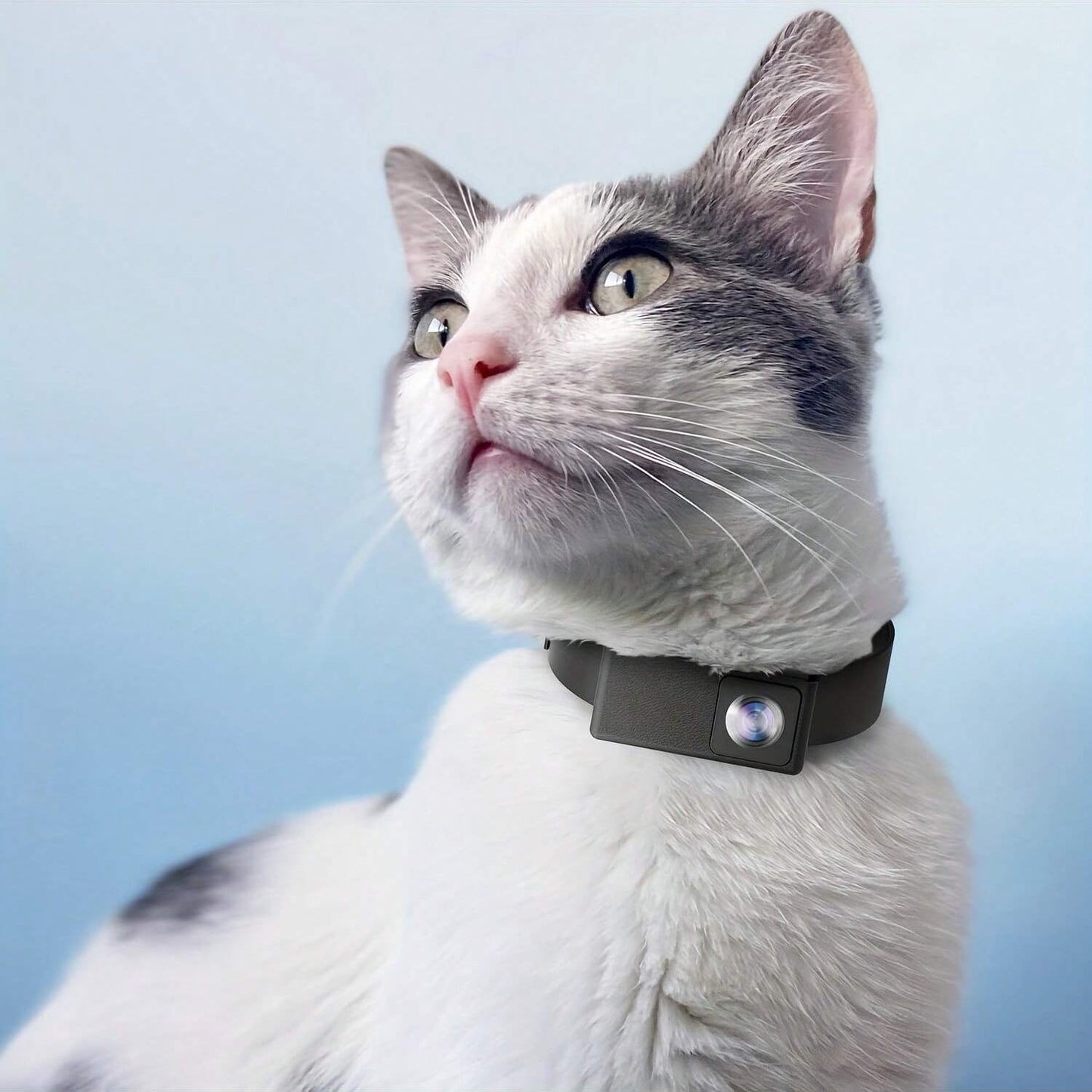 Portable 160° Pet Camera for Cats and Dogs – 1080P HD, 32GB