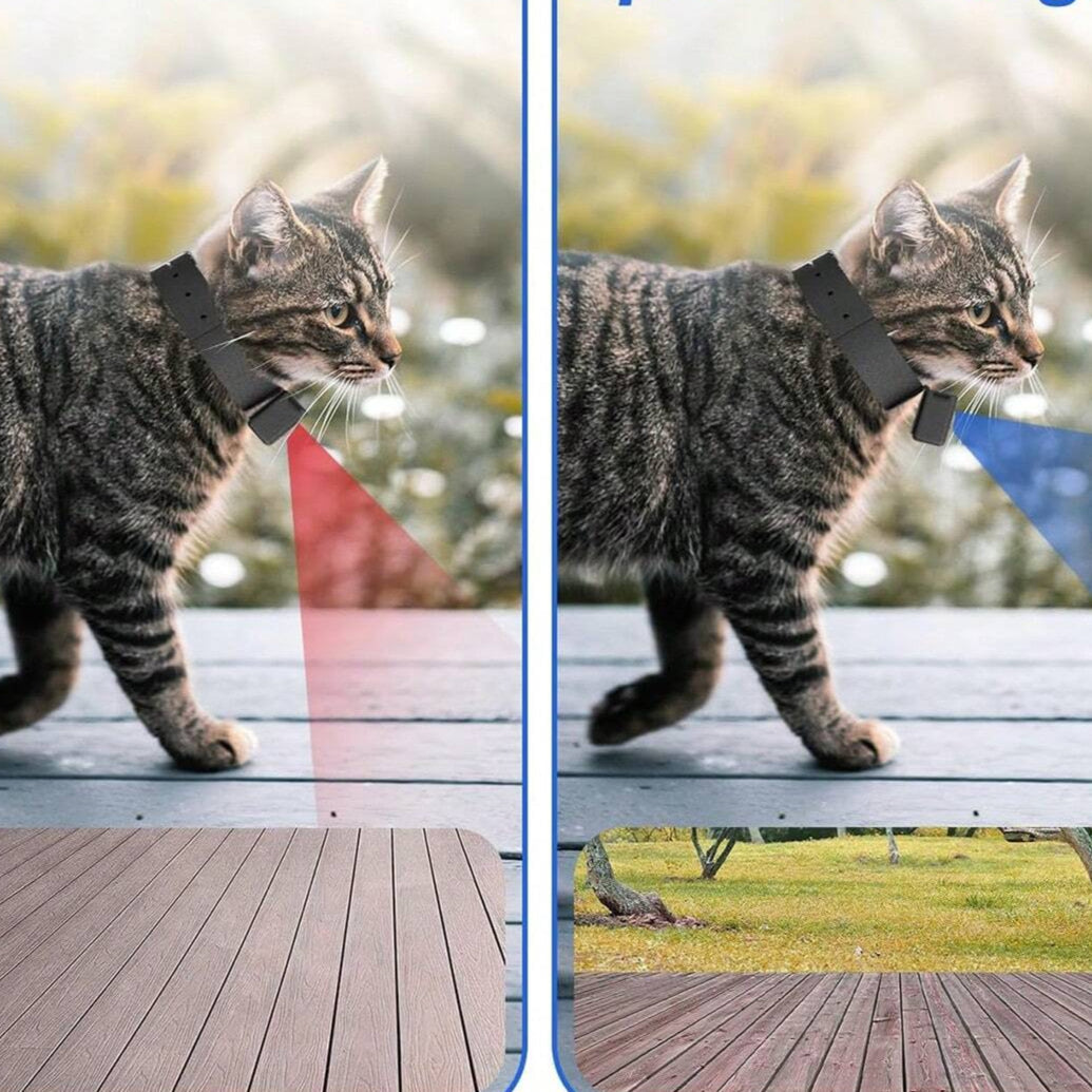 Portable 160° Pet Camera for Cats and Dogs – 1080P HD, 32GB