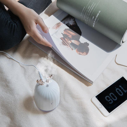 Essential Oil Diffuser for Aromatherapy