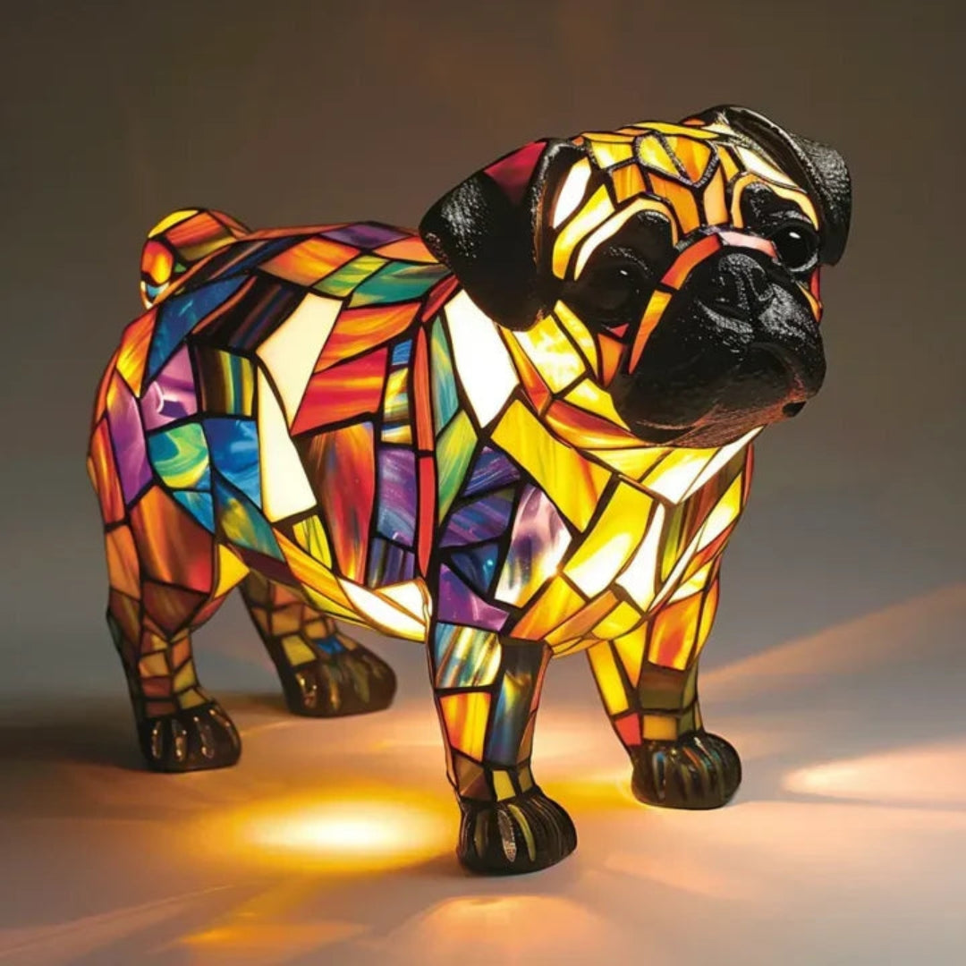 Colorful LED Light for Dogs