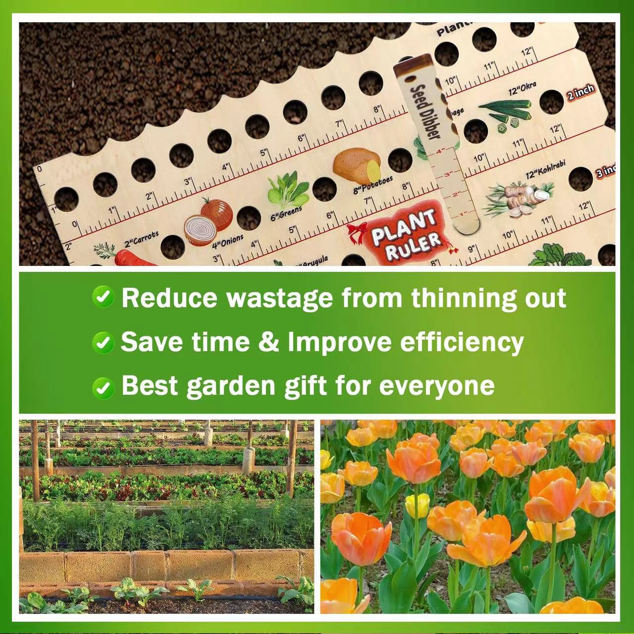 Plant Spacing and Depth Guide for Thriving Growth