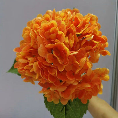 Forever Lively Flowers Without Maintenance - Hydrangea Decoration