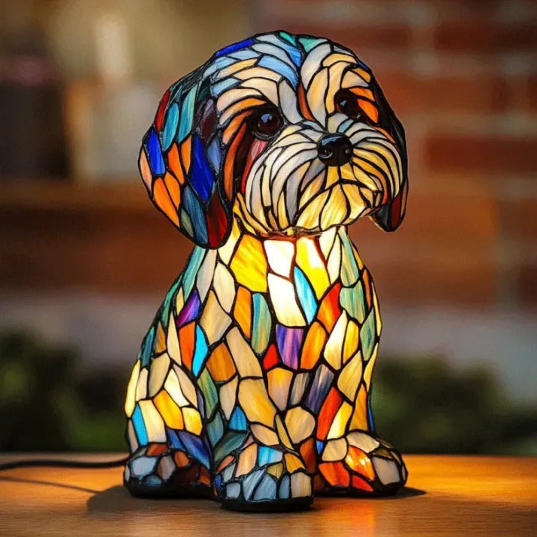 Colorful LED Light for Dogs