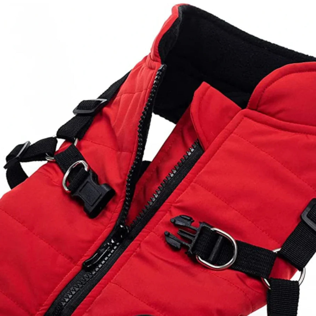 Water-Resistant Dog Jacket for Comfort and Protection