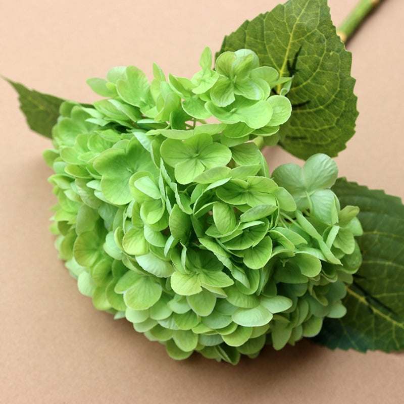 Forever Lively Flowers Without Maintenance - Hydrangea Decoration
