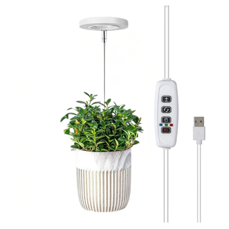 Keep Your Houseplants Healthy and Lively Year-Round