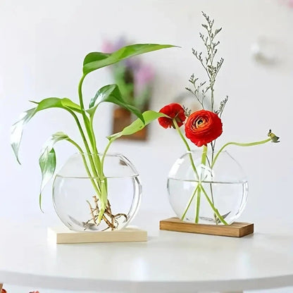 2-Piece Glass Terrarium Set with Wooden Stand | Hydroponic & Cutting Test Tube Vases | Contemporary Home & Office Decor
