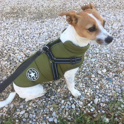 Water-Resistant Dog Jacket for Comfort and Protection