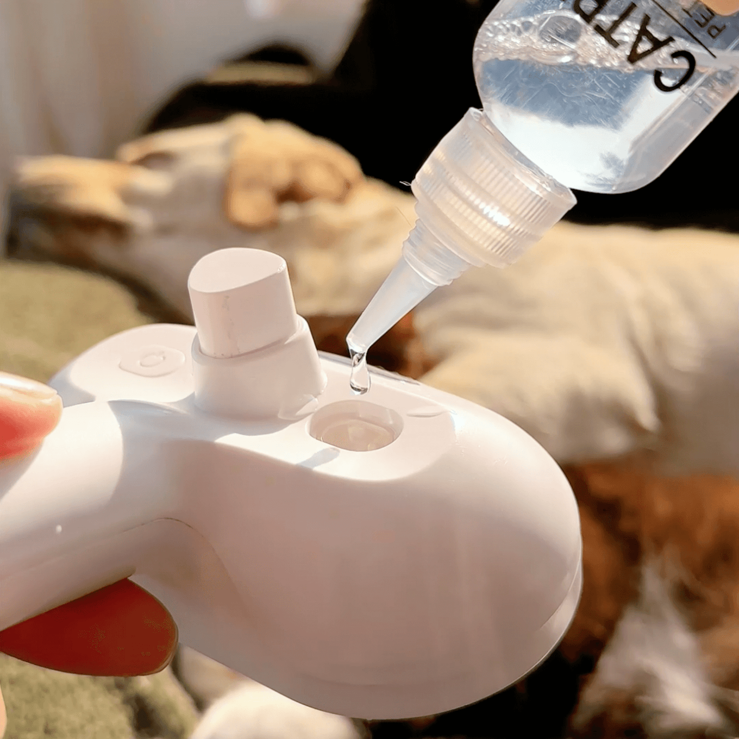 Steam Brush for Dogs – Gentle Grooming Tool for All Coat Types