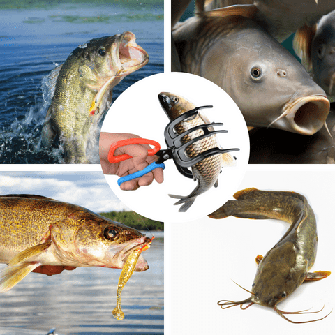Fish Handling Tool – Safe and Pain-Free Fish Management Every Time