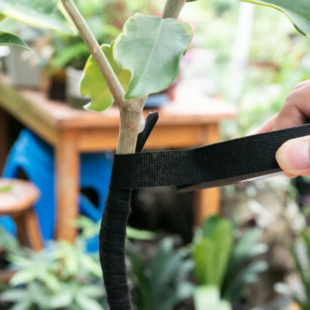 Bonsai and Plant Binding Tape | Wrapping Band for Flowers and Plants | Heat and Corrosion Resistant