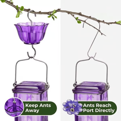 Elegant Hummingbird Nectar Feeder with Easy Clean Design