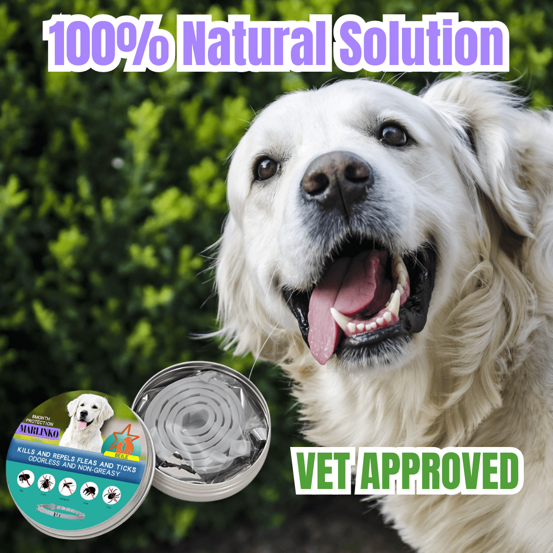 Nature's Serenity Pet Collar for Tick and Flea Defense