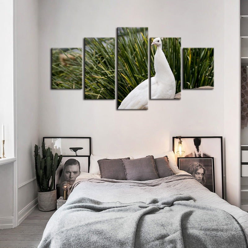 Serene White Peacock 5-Piece Canvas Art Set